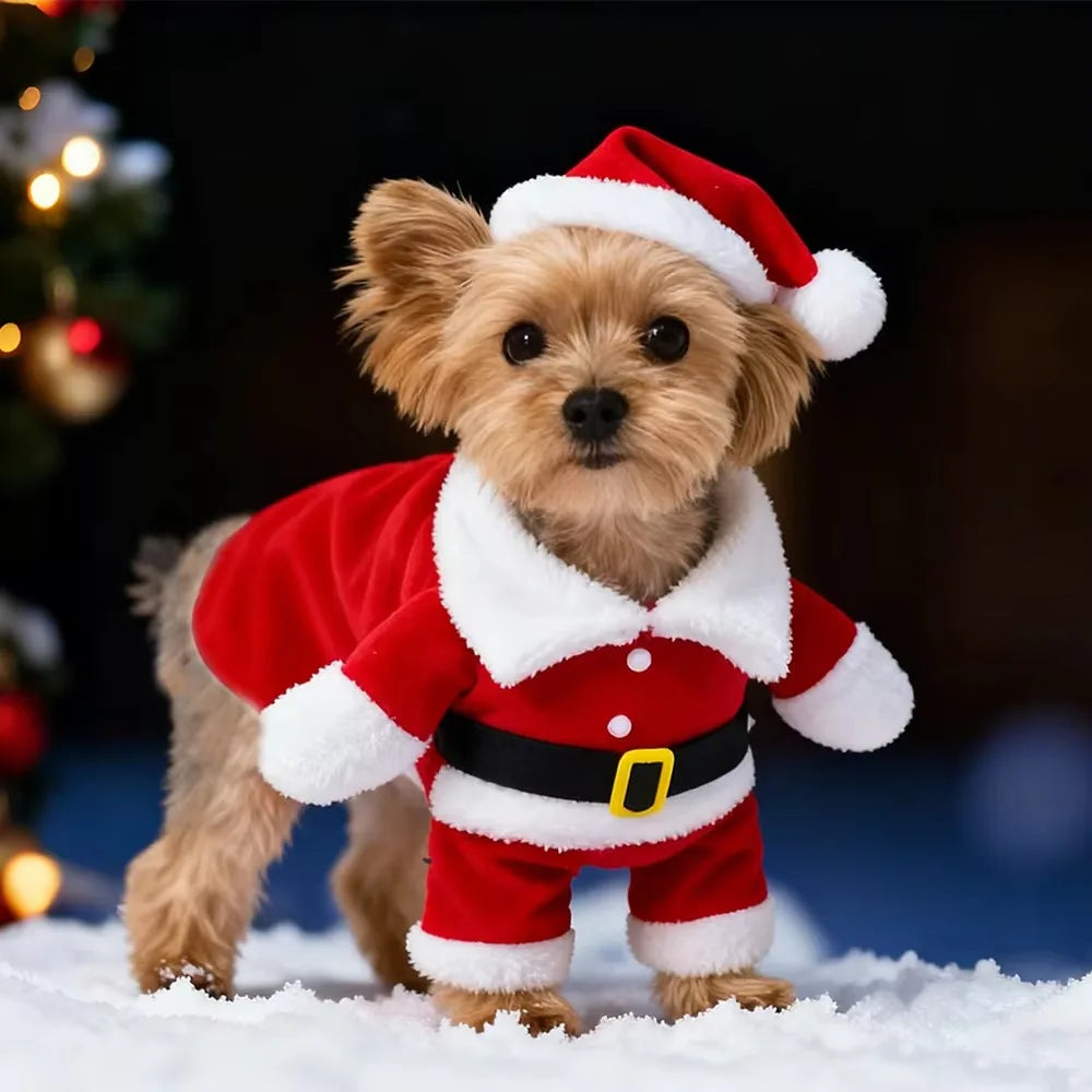 Combinaison de Père Noël pour chien et chat