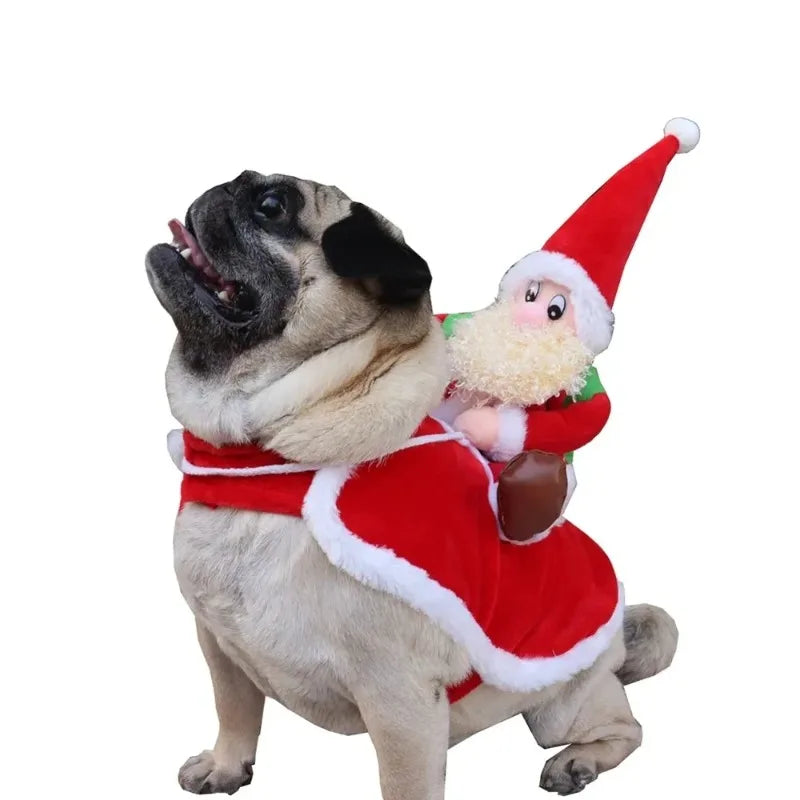 Costume pour chien – Père Noël à dos de compagnon