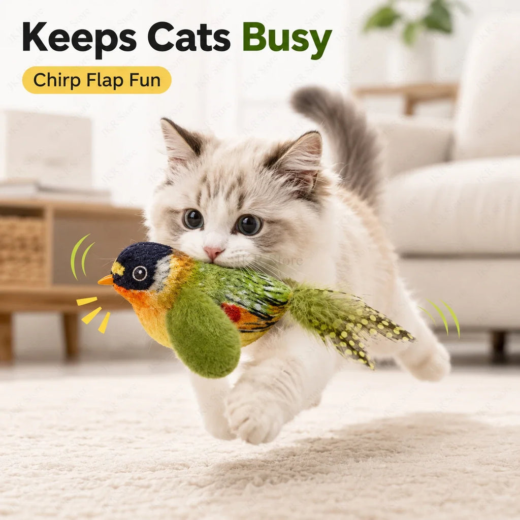 Jouet oiseau pour chat – Lots au choix