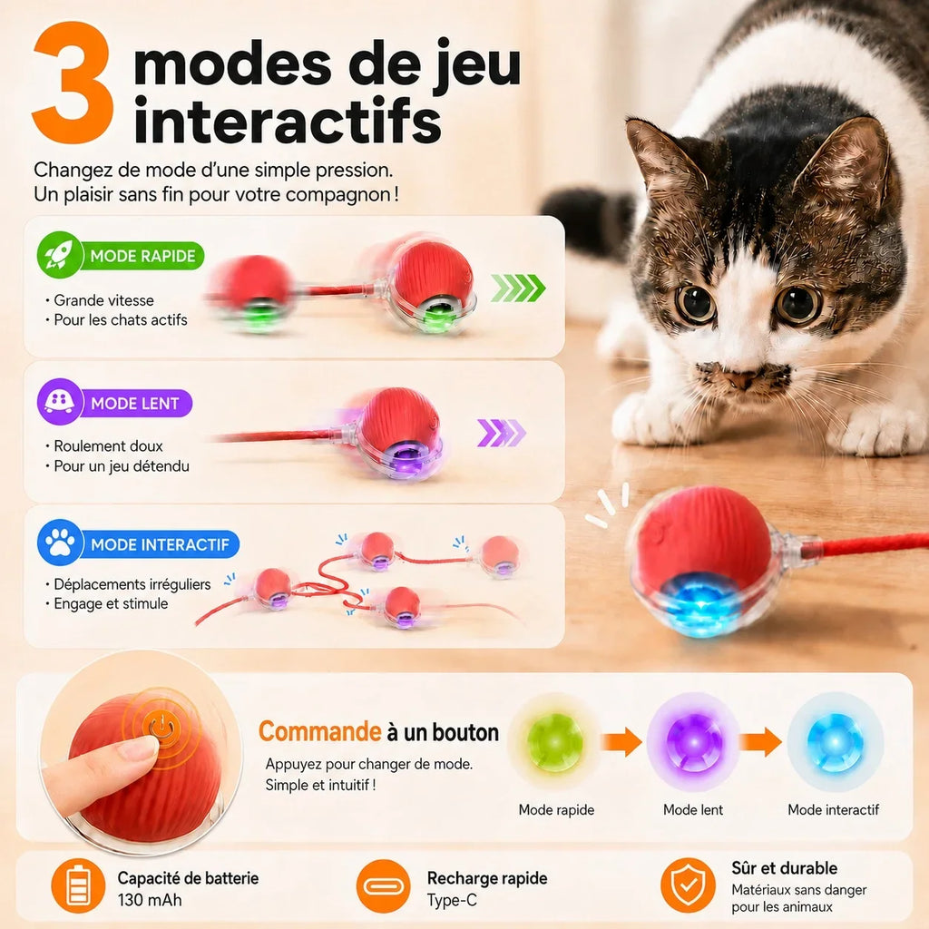 Balle motorisée pour chat