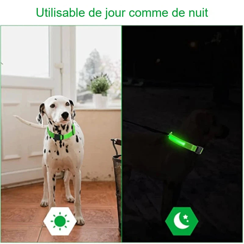 Collier lumineux pour chien – Tours de cou au choix
