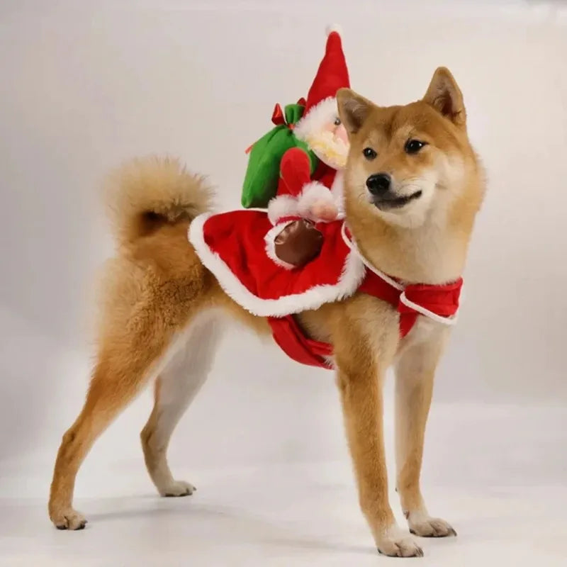 Costume pour chien – Père Noël à dos de compagnon