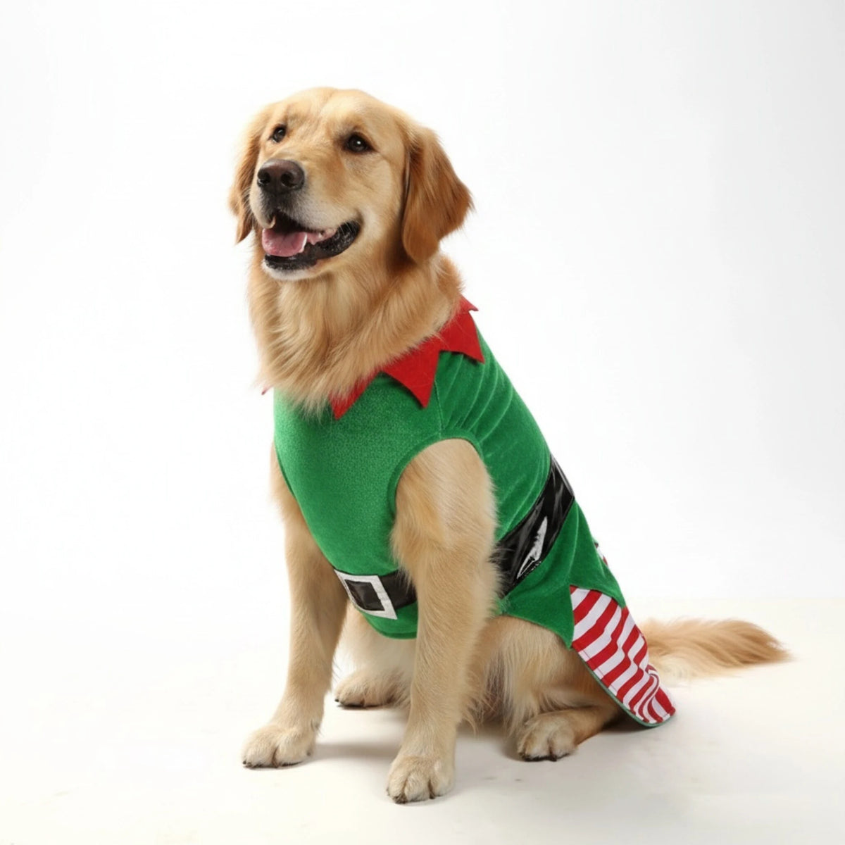 Costume de lutin de Noël pour chien et chat