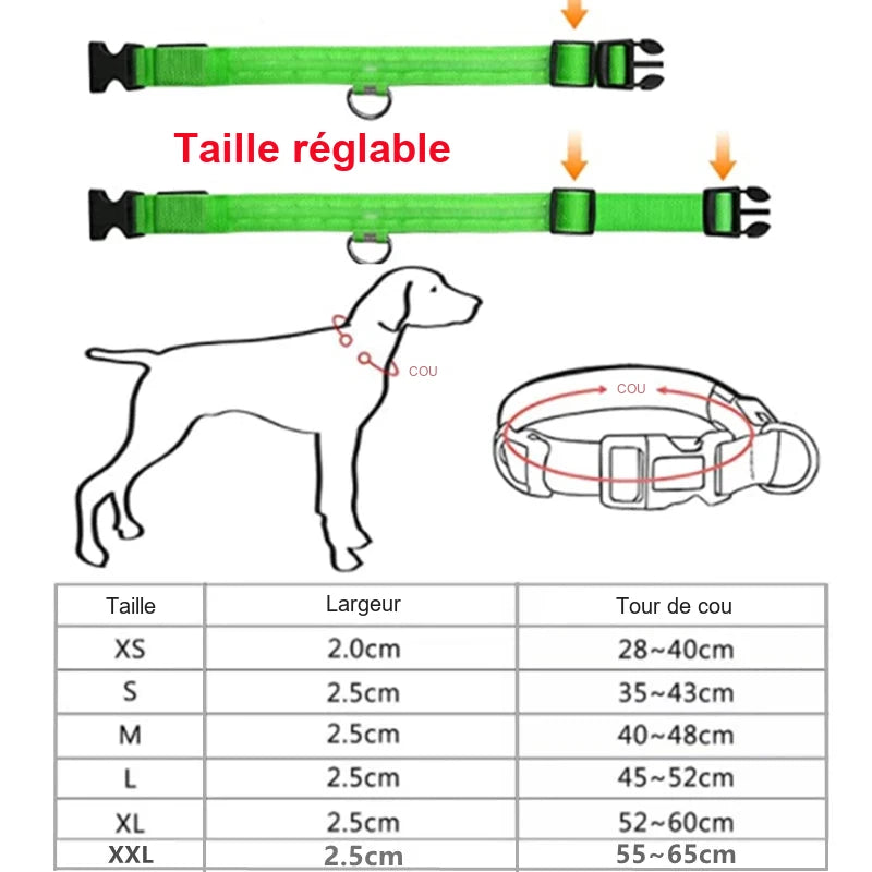 Collier lumineux pour chien – Tours de cou au choix