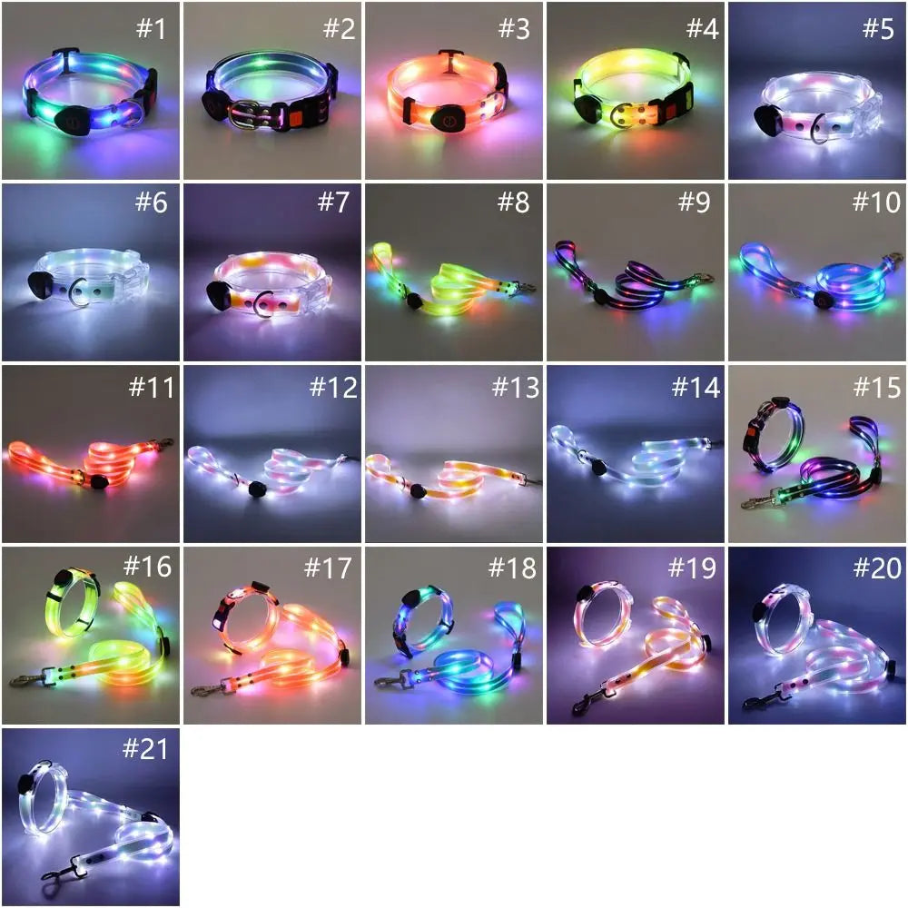 Collier LED et laisse – À l’unité ou en ensemble