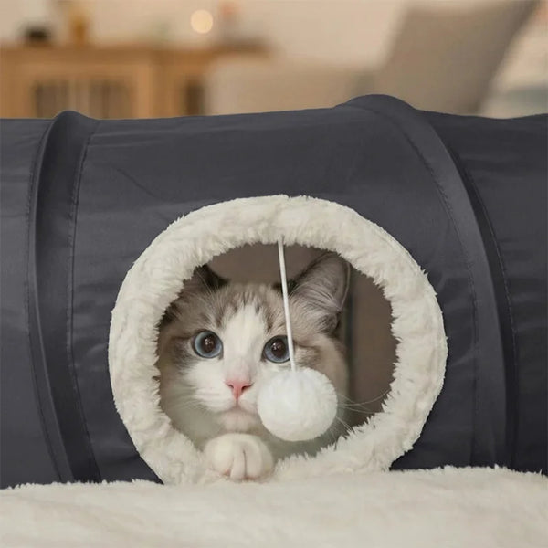 Tunnel pliable pour chat – Avec coussin