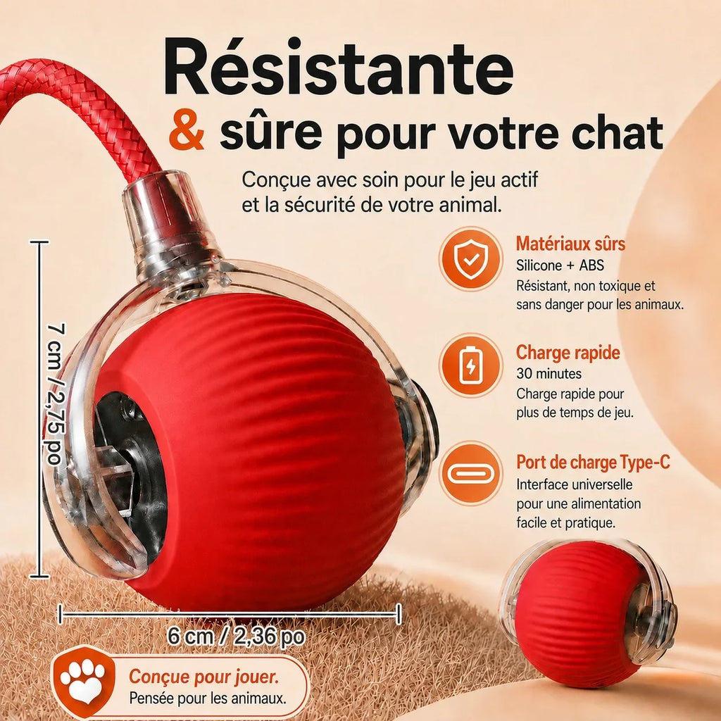 Balle motorisée pour chat