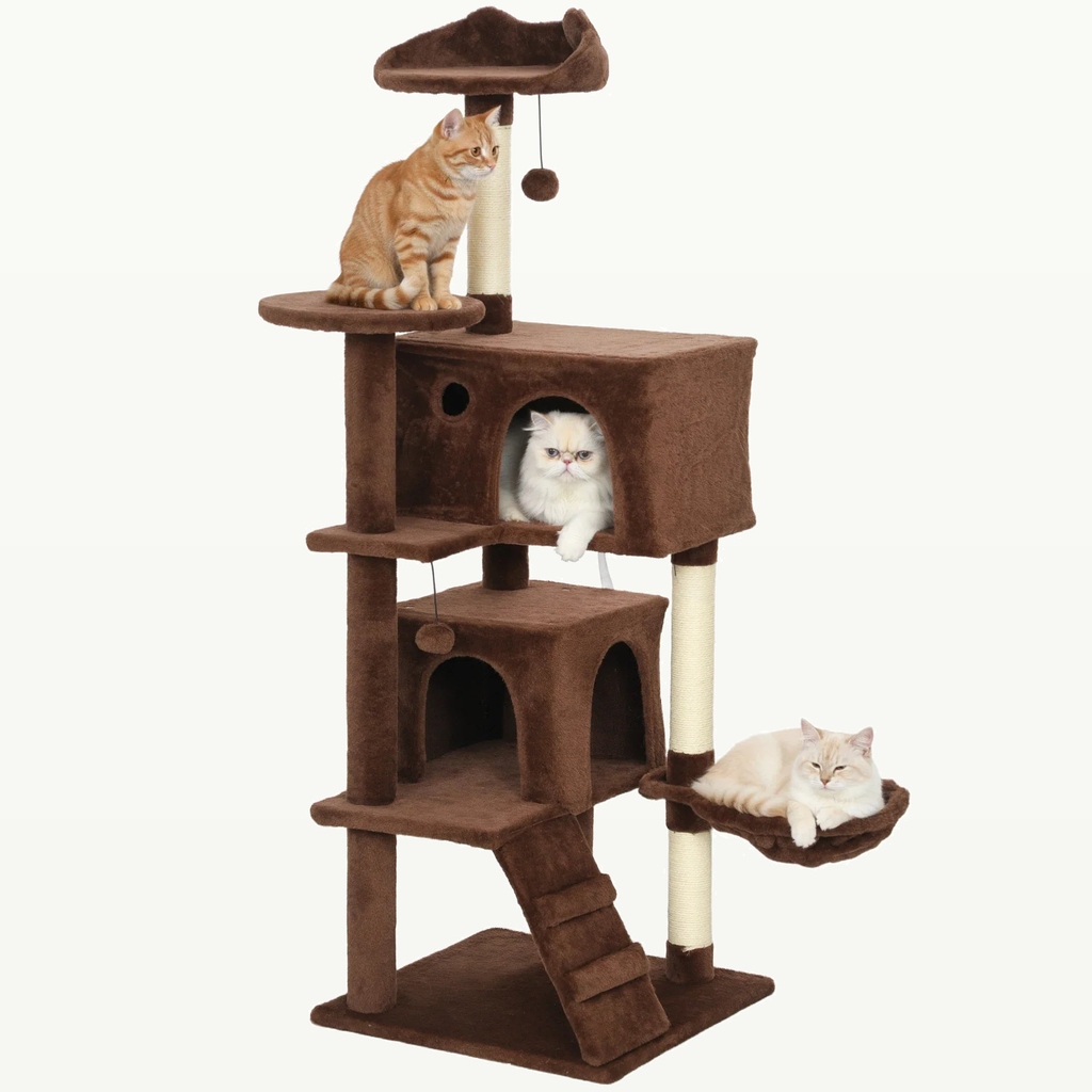 Arbre à chat marron de 140 cm avec chats, photo studio