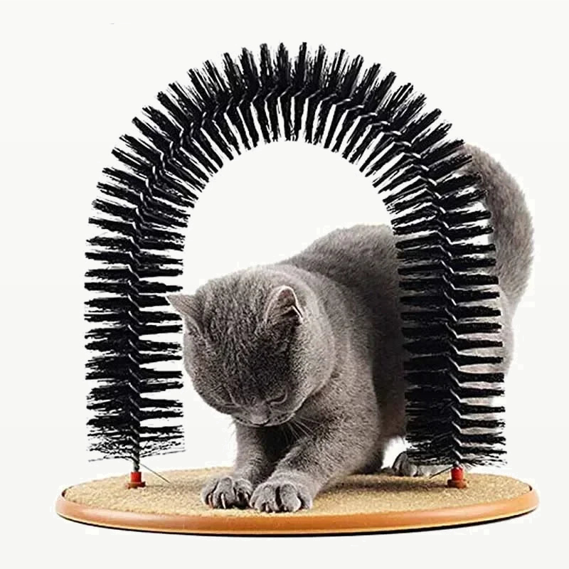 Chat utilisant l’arche de toilettage