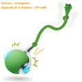 Balle interactive pour chat, version française, capacité 130 mAh