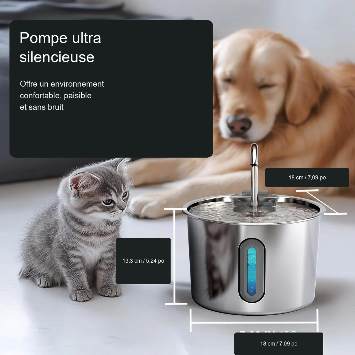 Fontaine à eau en inox 2,2 L, pompe silencieuse et dimensions en français