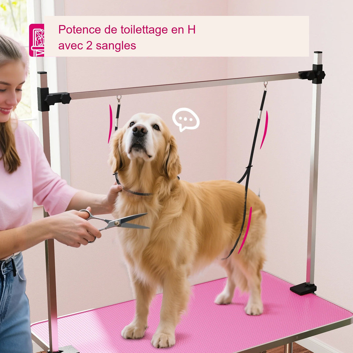 Potence de toilettage en H avec deux sangles