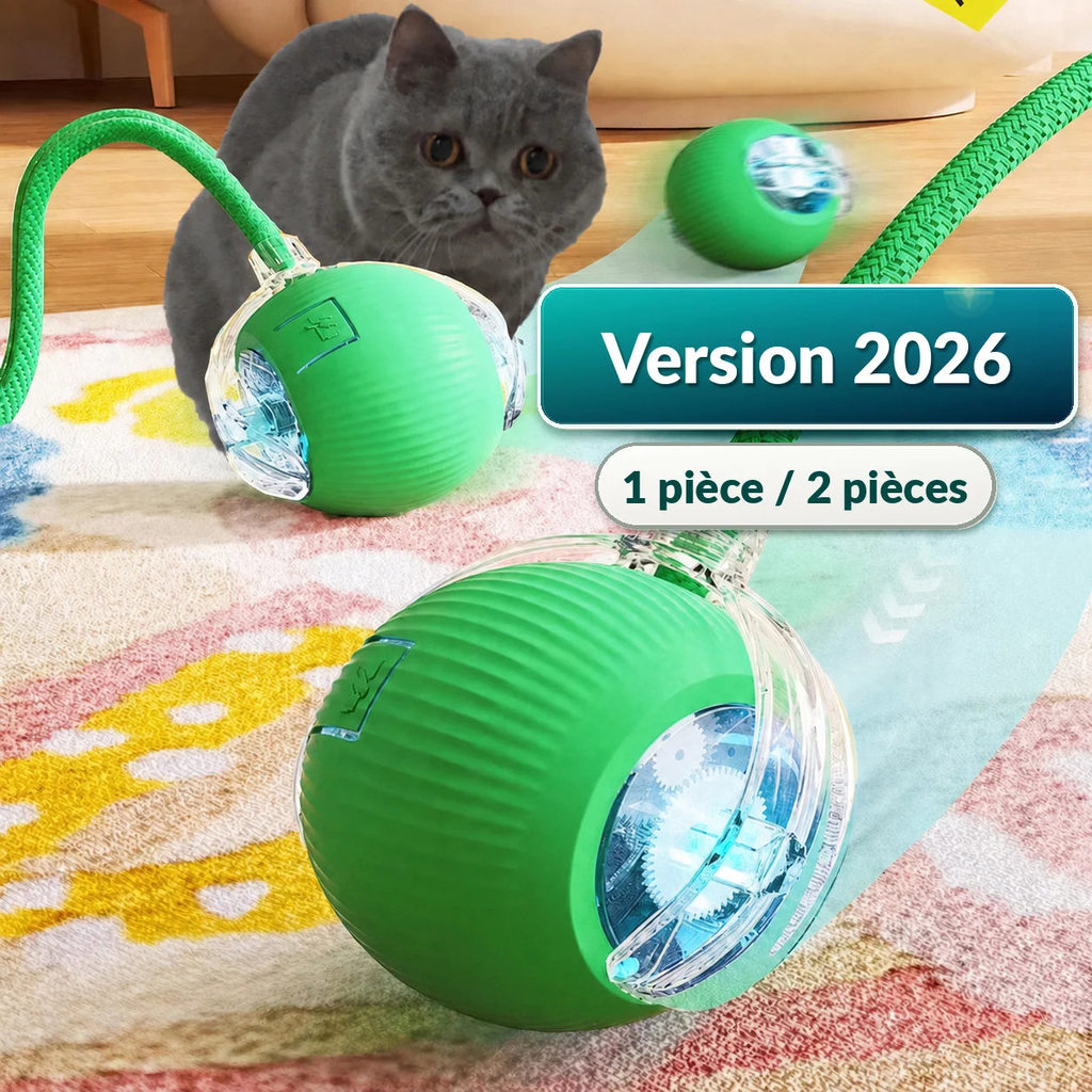 Balle interactive motorisée pour chat – Jouet roulant