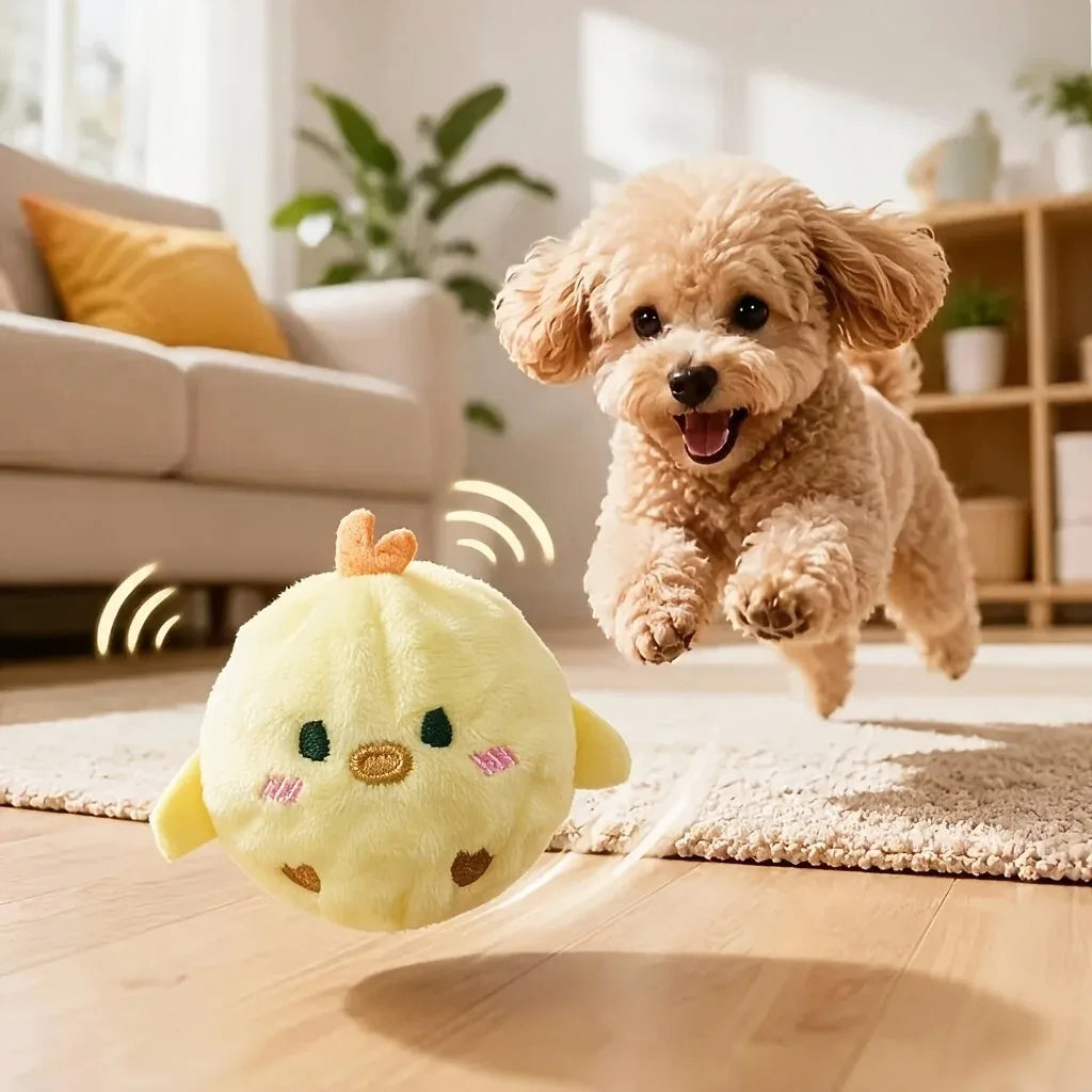 Balle rebondissante sonore pour chien et chat