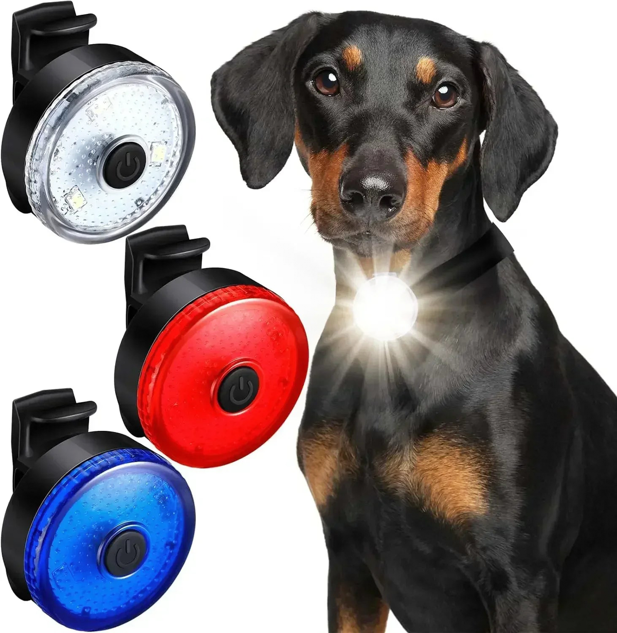 Lumière LED rechargeable pour collier de chien et chat