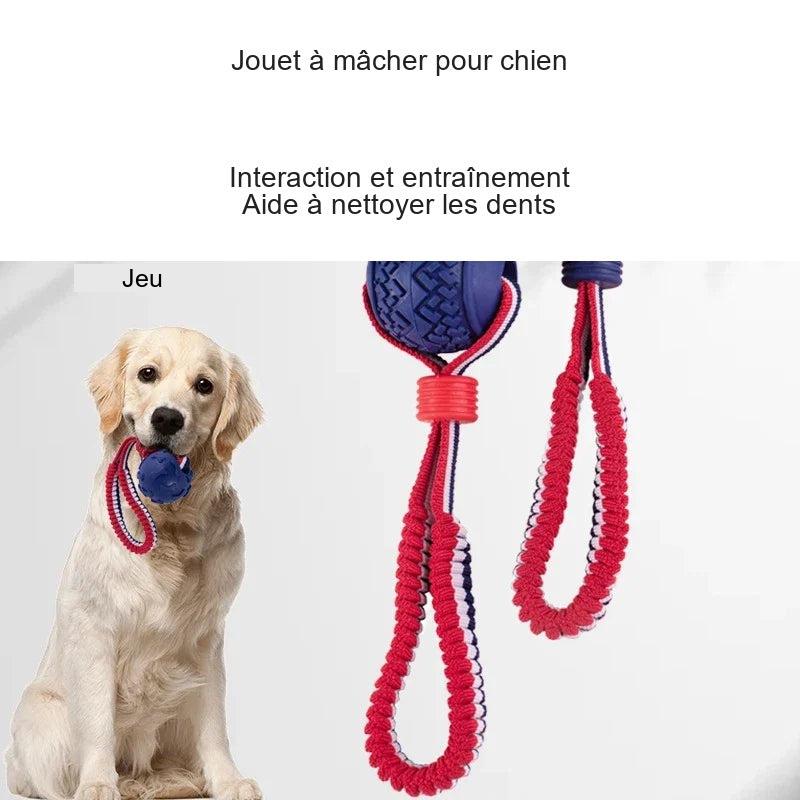 Jouet corde à mâcher pour chien — visuel français