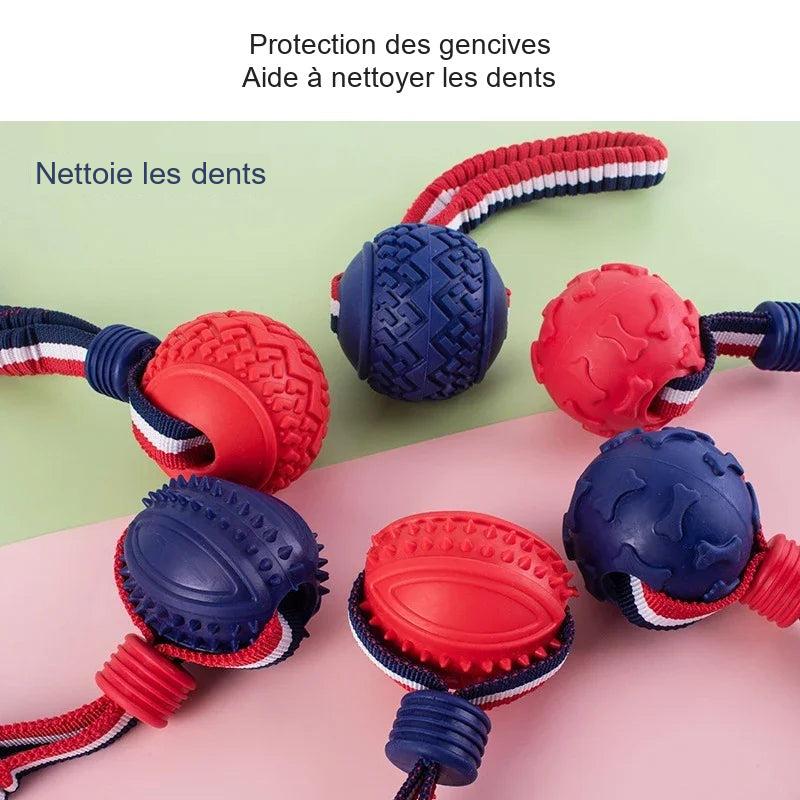 Jouet corde à mâcher pour chien — visuel français