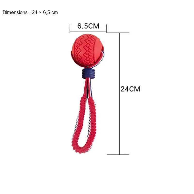 Jouet corde à mâcher pour chien — visuel français