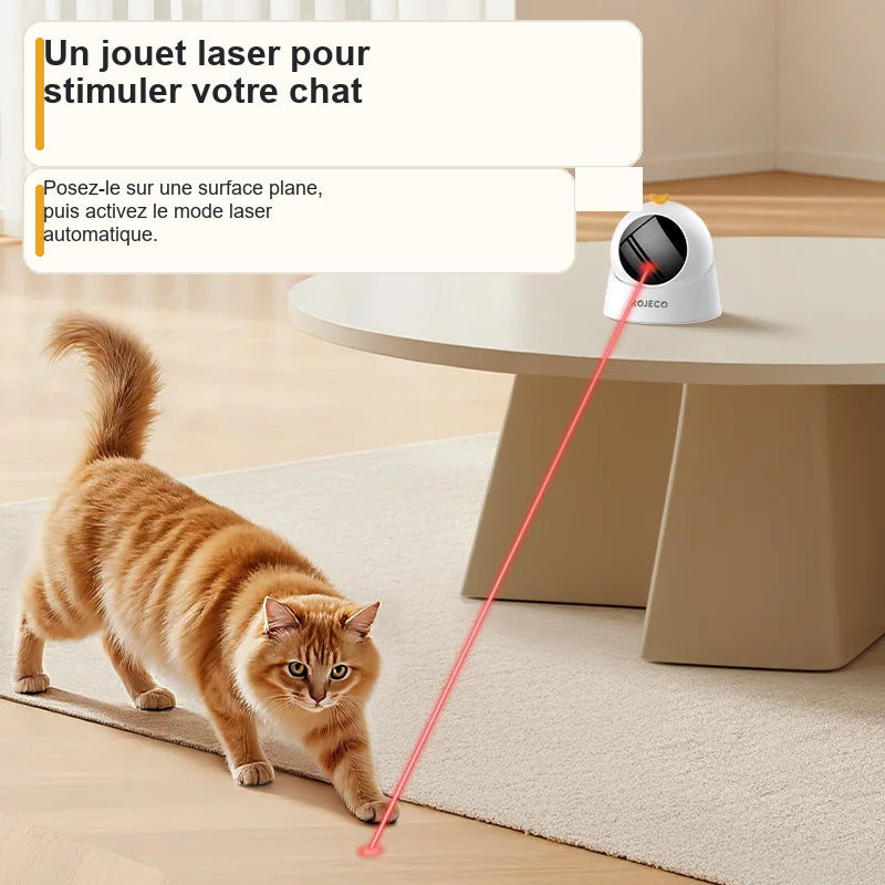 Une scène de jeu avec le jouet laser et un chat, instructions en français
