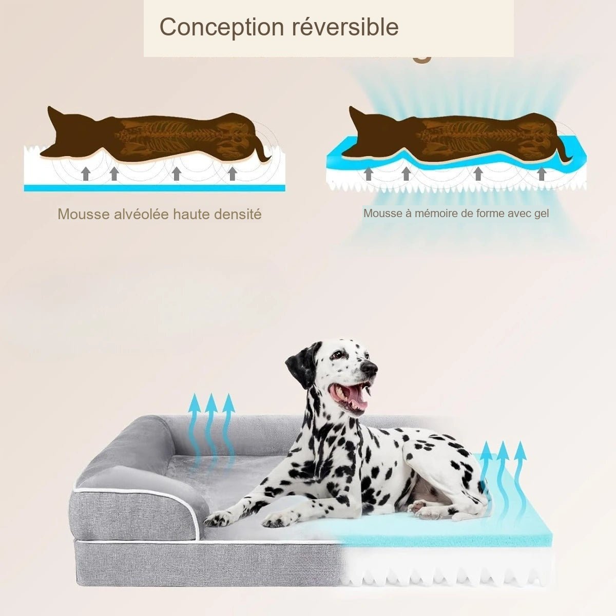 Matelas pour chien avec conception réversible