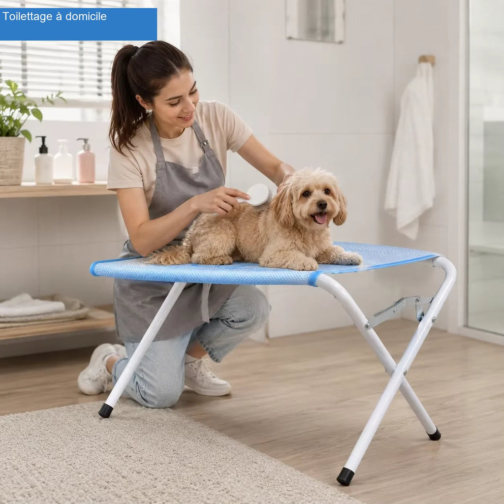 Toilettage à domicile sur table de toilettage pour chien