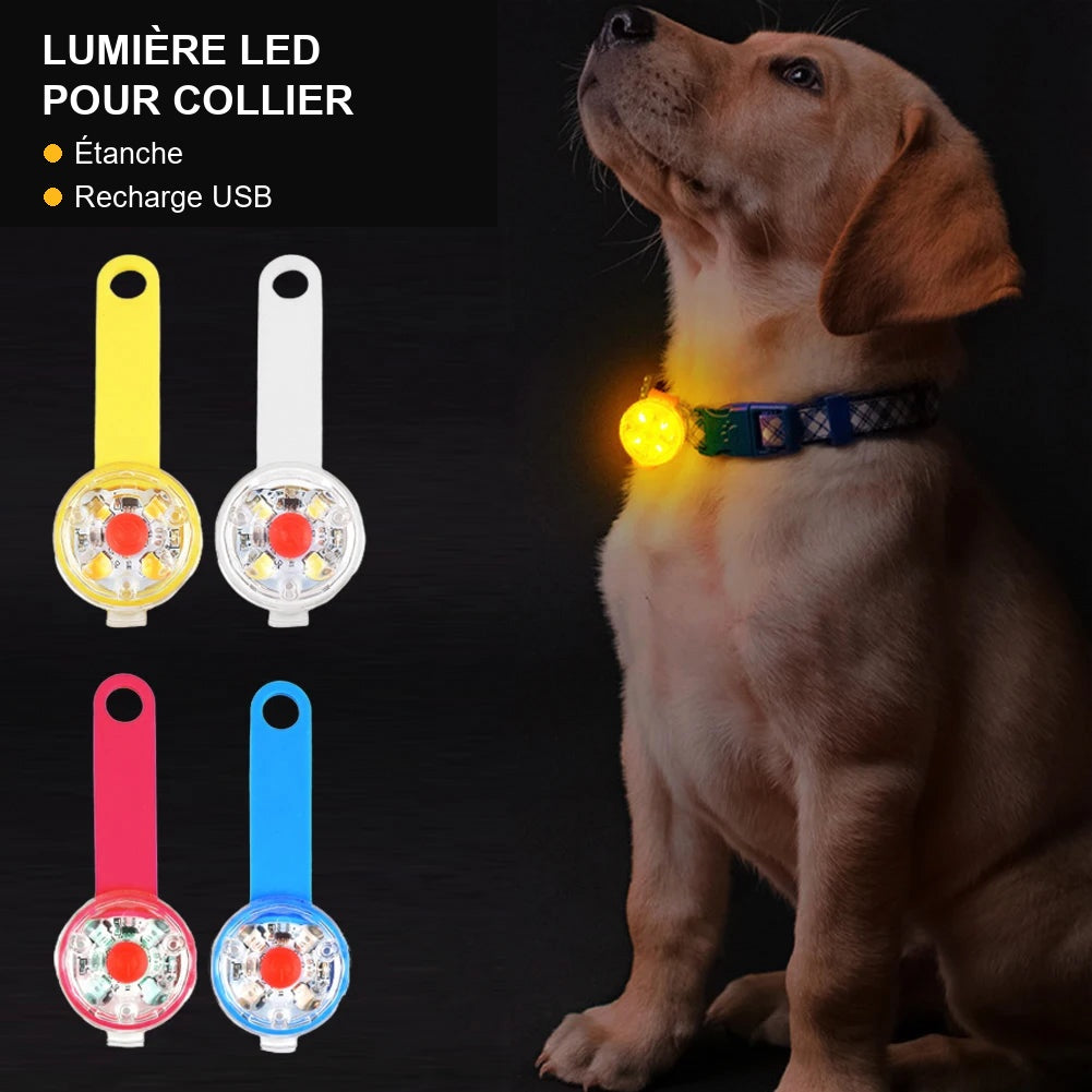 Pendentif LED rechargeable pour collier de chien ou de chat
