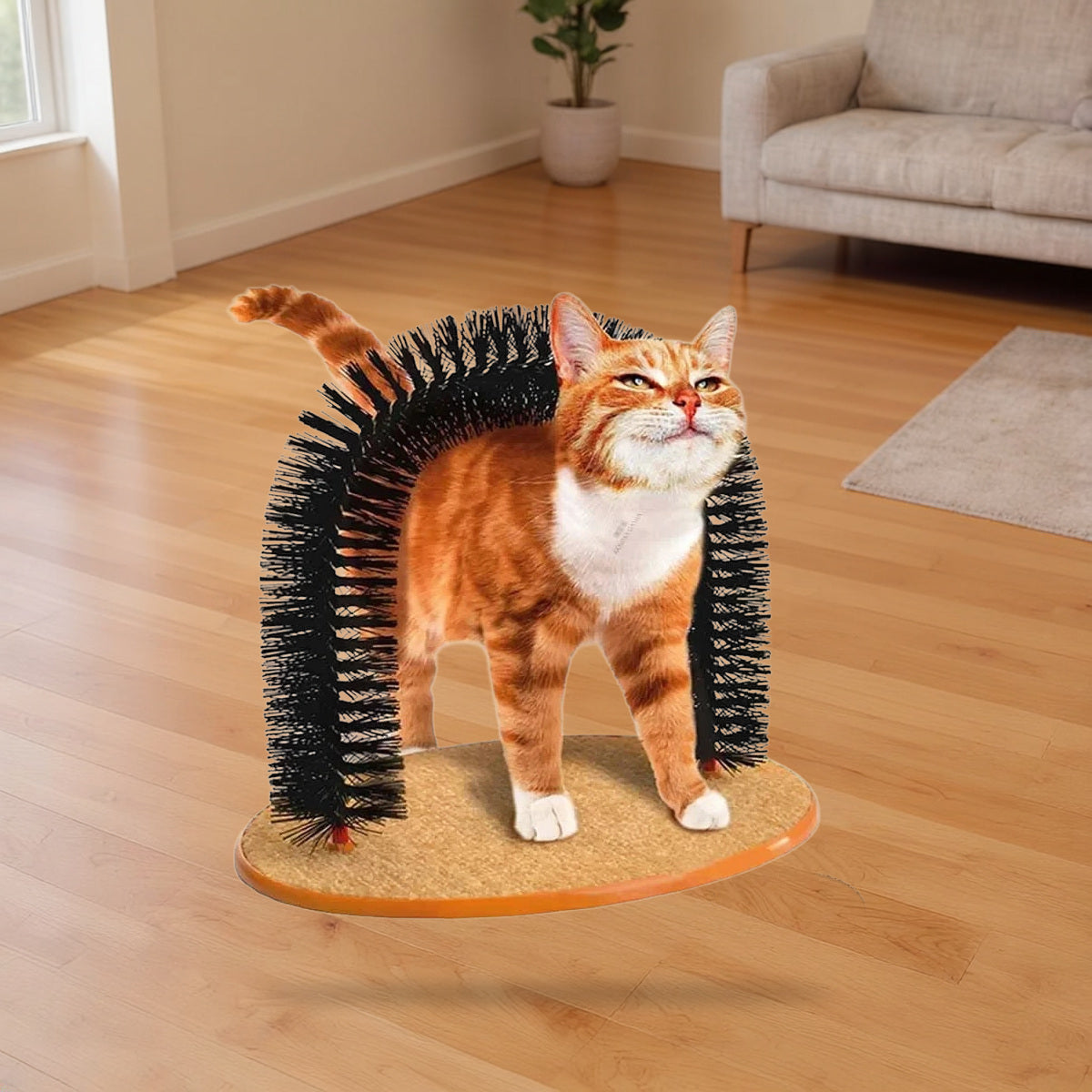 Arche de toilettage pour chat avec brosse et grattoir