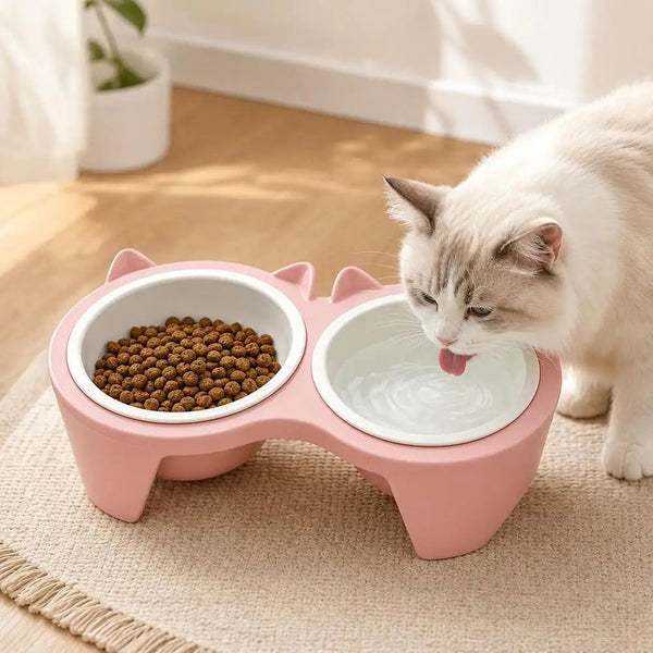 Double gamelle antidérapante pour chien et chat