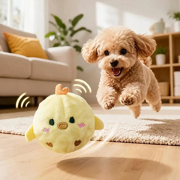 Balle sonore pour chien et chat
