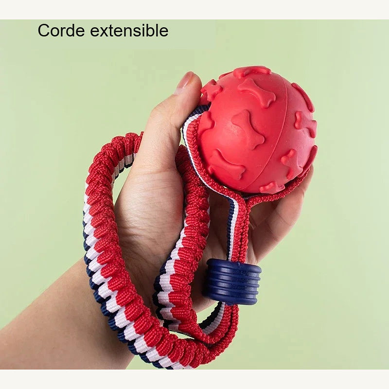 Jouet corde à mâcher pour chien avec balle
