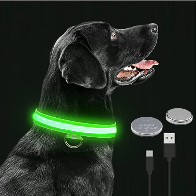 Collier lumineux ajustable pour chien – Tailles S à XXL