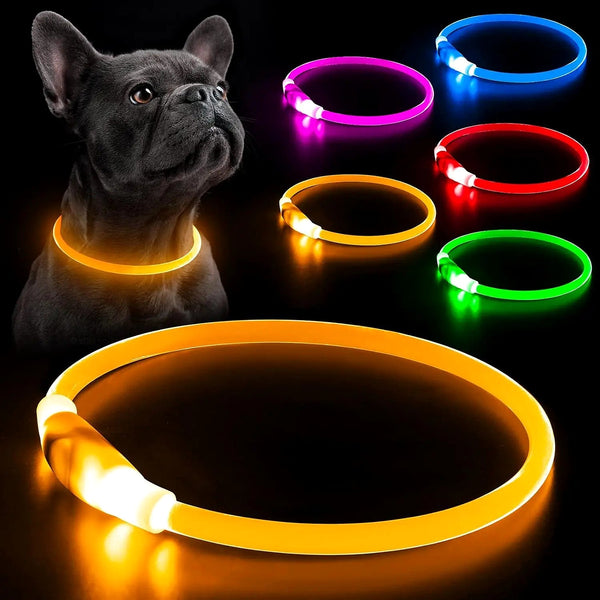 Collier LED rechargeable – 3 modes