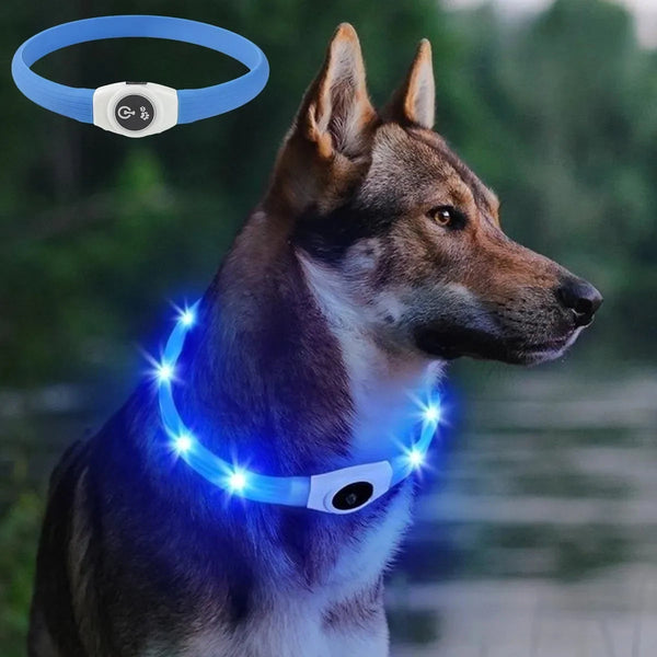 Collier LED pour chien – 65 cm