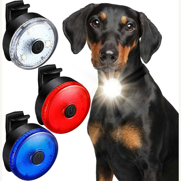 Lumière LED rechargeable pour collier