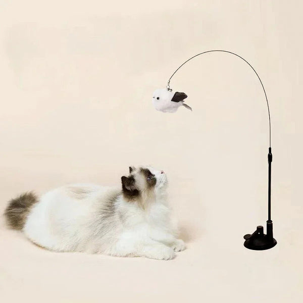 Jouet plume pour chat – Grelot et ventouse