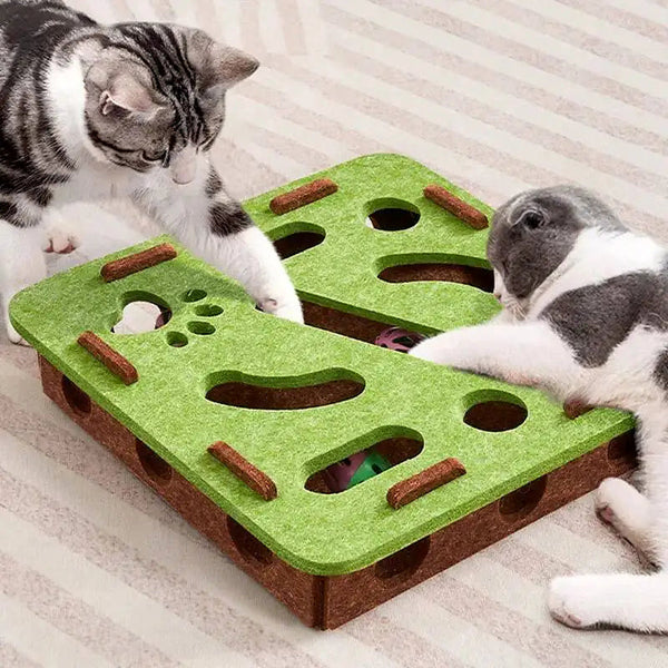 Puzzle en feutre pour chat – Modèles et balles