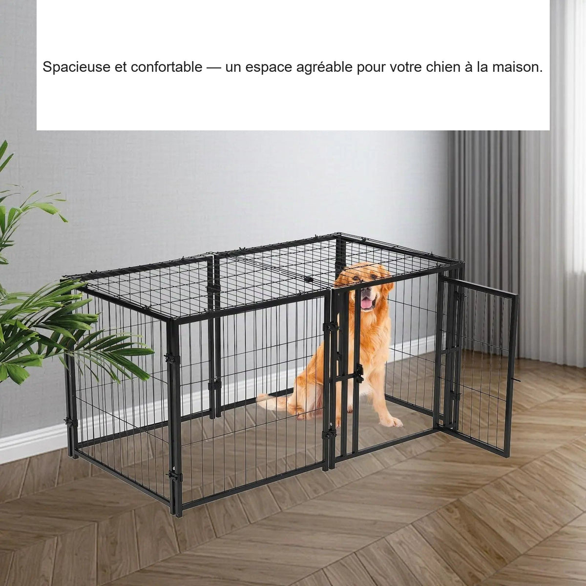 Visuel produit traduit en français