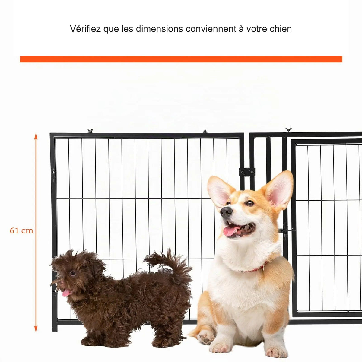 Visuel produit traduit en français