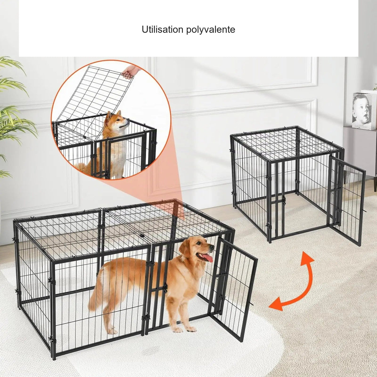 Visuel produit traduit en français