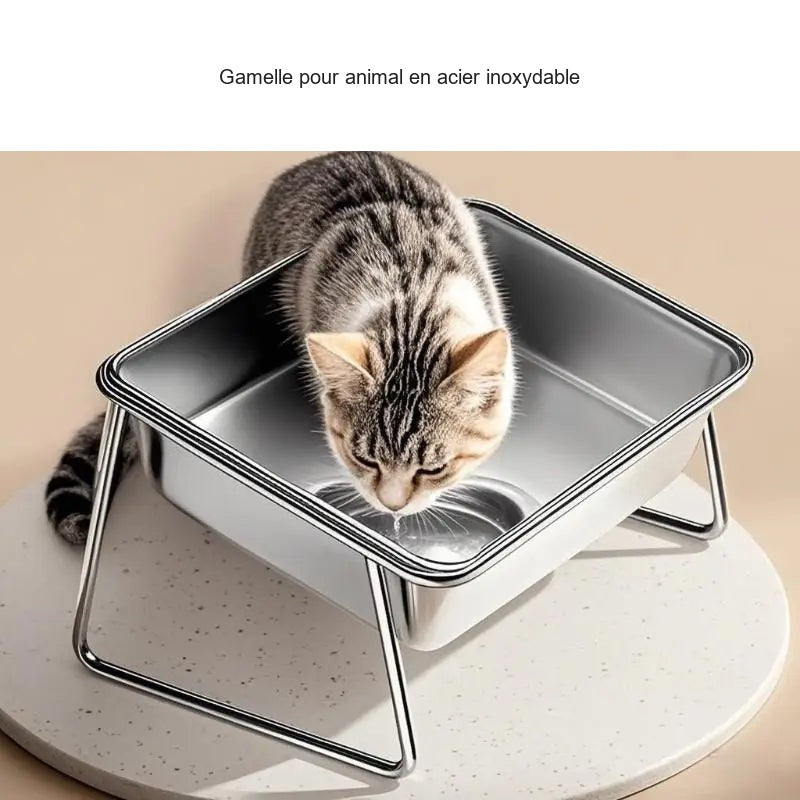 Visuel produit traduit en français