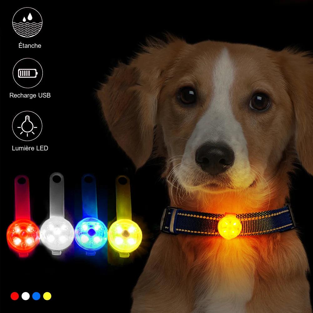 Pendentif LED rechargeable pour collier de chien et chat