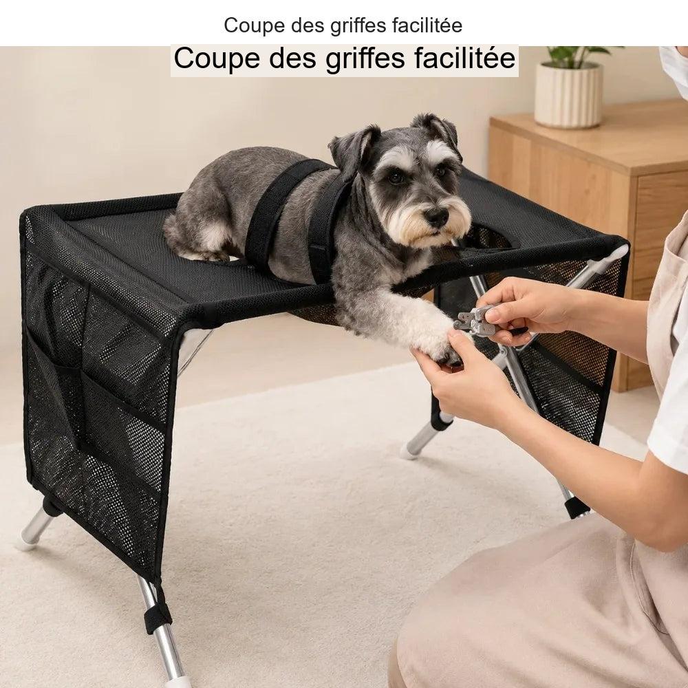 Table de toilettage portable pour chien — visuel en français