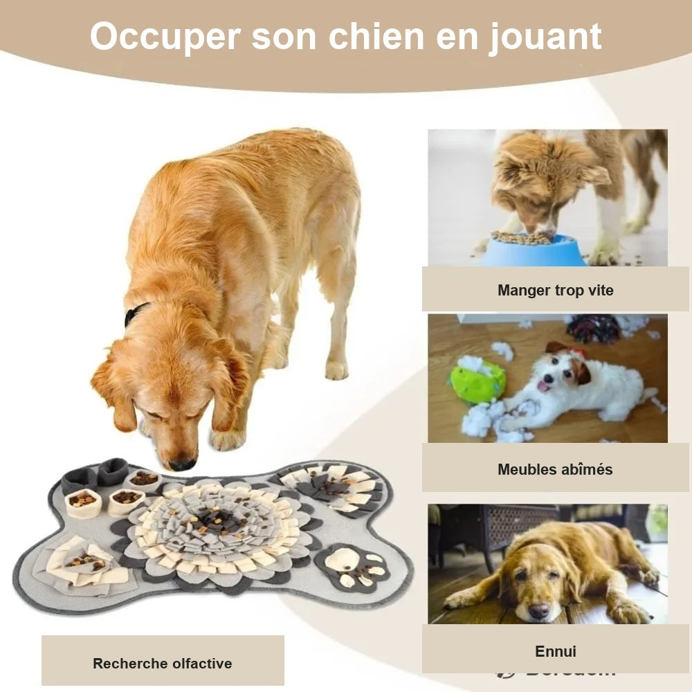 Tapis de fouille pour occuper et stimuler le chien