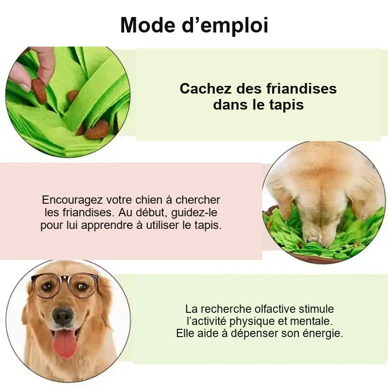 Mode d’emploi du tapis de fouille