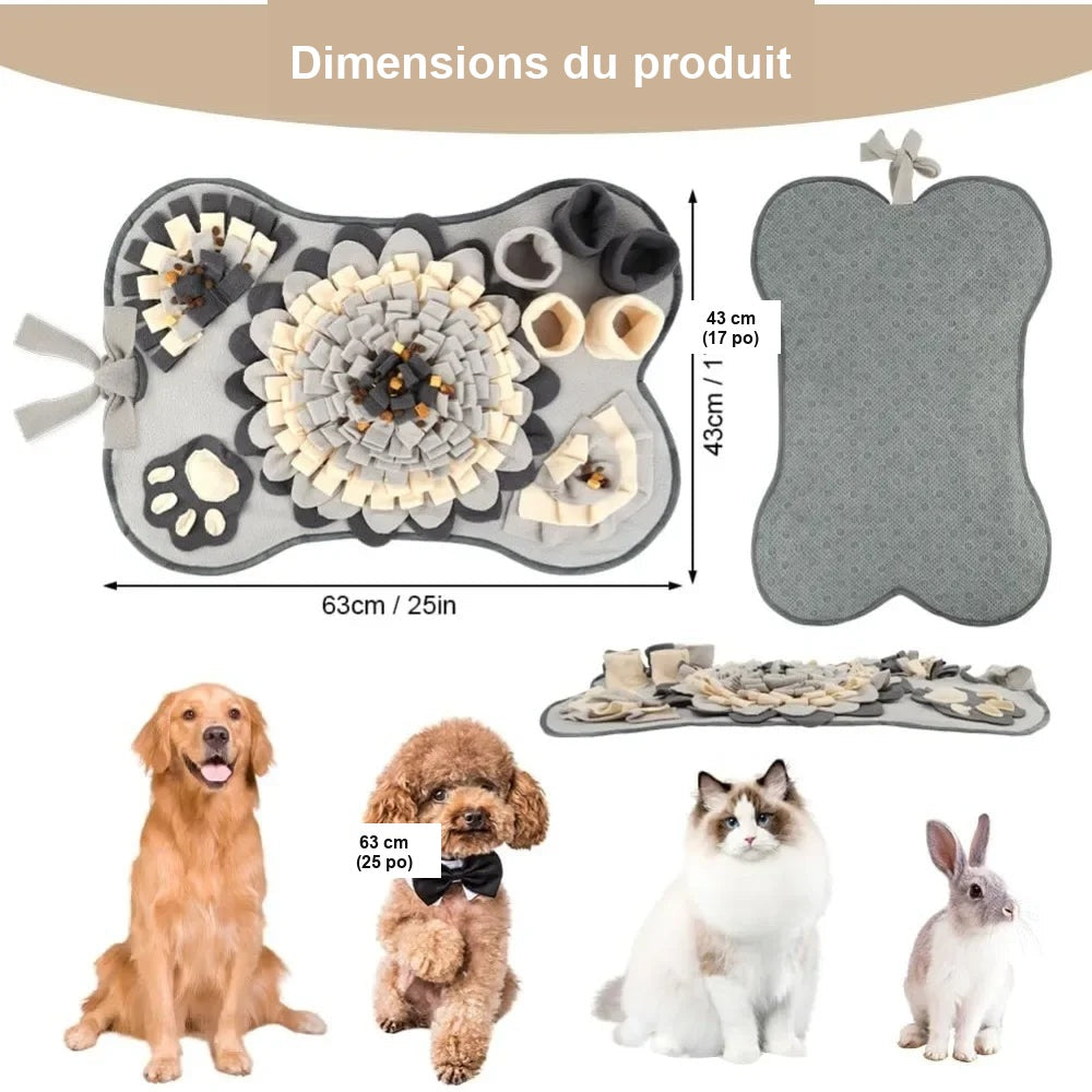 Dimensions du tapis de fouille pour chien