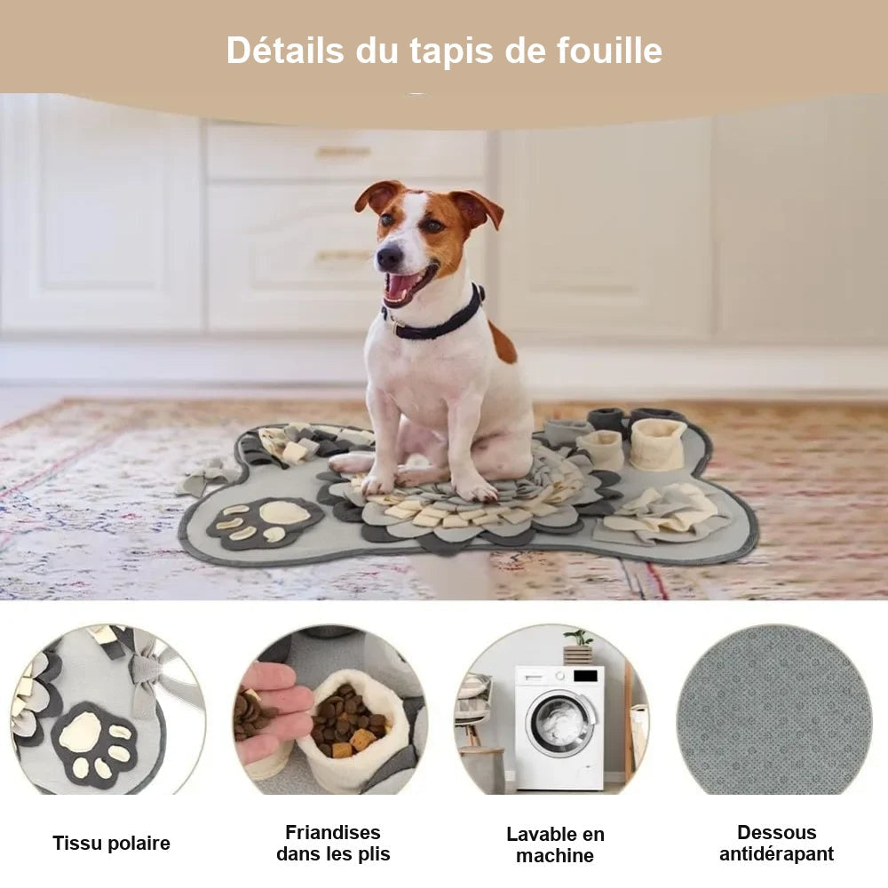 Détails du tapis de fouille