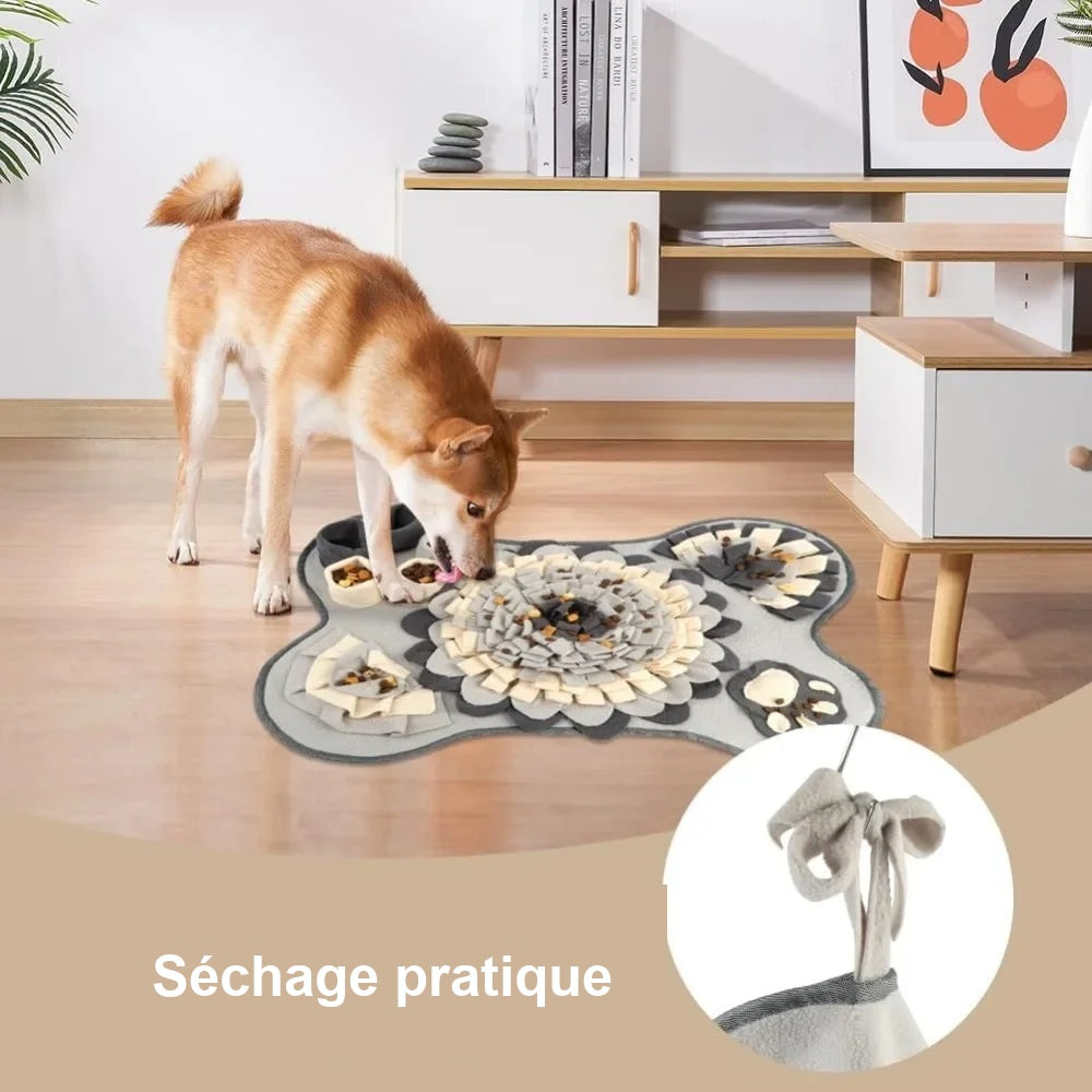 Séchage pratique du tapis